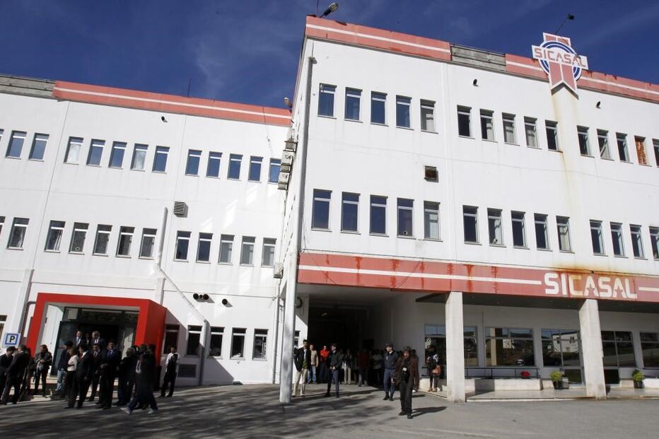 Suinicultores, protesto, Mafra, Vila Franca do Rosário, Sicasal, economia, negócios e finanças, economia (geral)