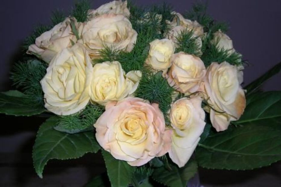 Dia dos Namorados, dia de são valentim, programas, experiências, presentes