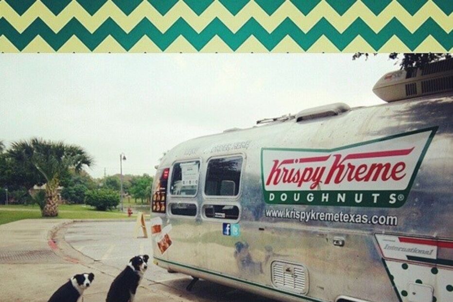 Cães, animais, border collie, Jenisa Myers, Texas, EUA, Estados Unidos, Dewey, Blaze, Dewey & Blaze Border Collies, vídeo viral