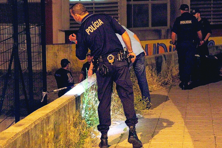 Assassinou cão por invadir casa 