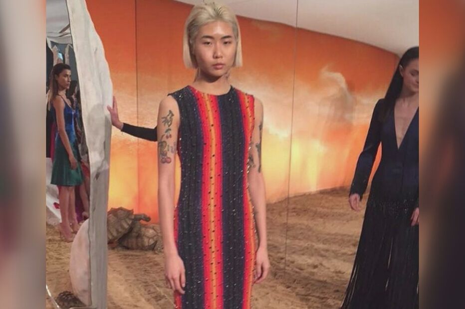 13-02-2016_12_04_30 tartarugas.jpg