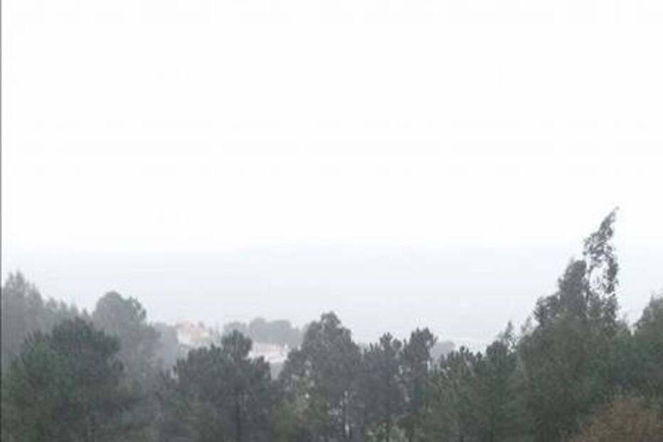 mau tempo, André Rodrigues, leitores