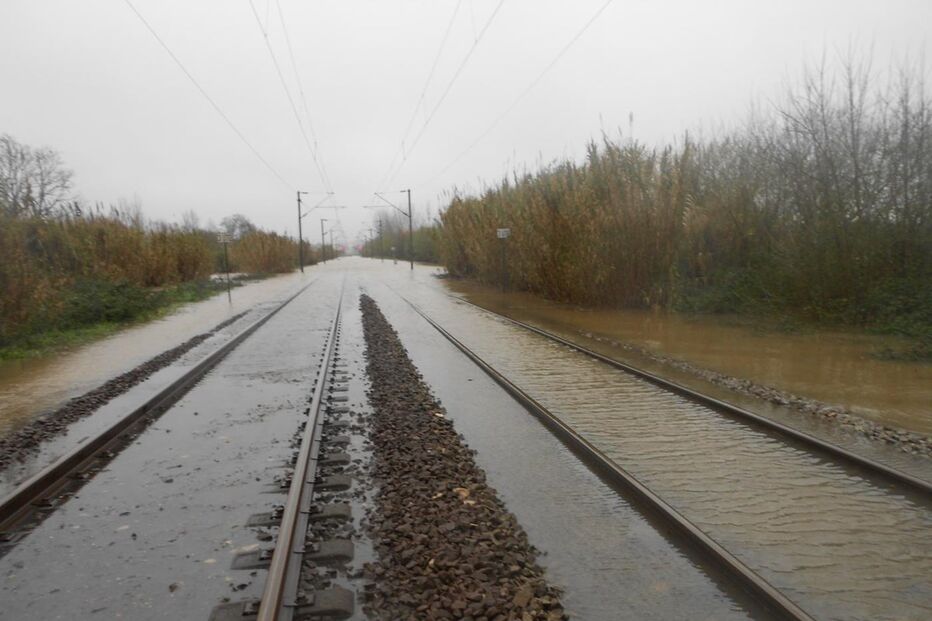 Aveiro, Estarreja, questões sociais, meteorologia
