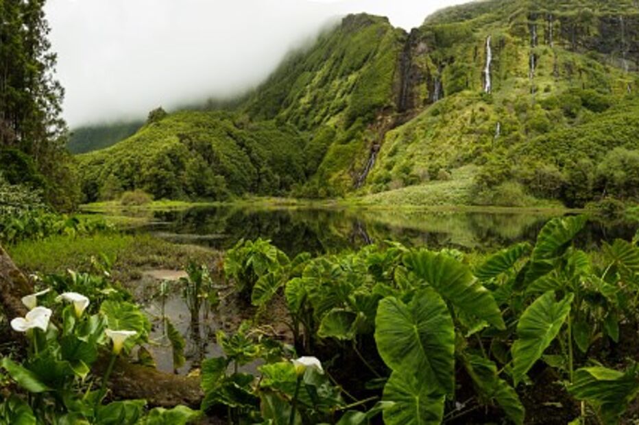 Açores, ilhas, arquipélago, Flores, Corvo, São Miguel, São Jorge, Santa Maria, Pico, Faial, Graciosa, Terceira