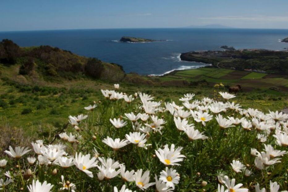 Açores, ilhas, arquipélago, Flores, Corvo, São Miguel, São Jorge, Santa Maria, Pico, Faial, Graciosa, Terceira