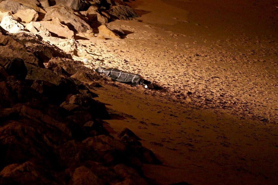 Caxias, praia da Giribita, Oeiras, hipotermia