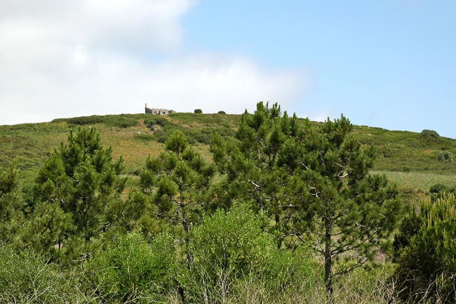Reserva Ecológica de Oeiras 