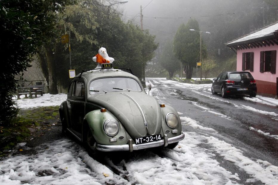 Madeira, Funchal, neve, ilha, mau tempo