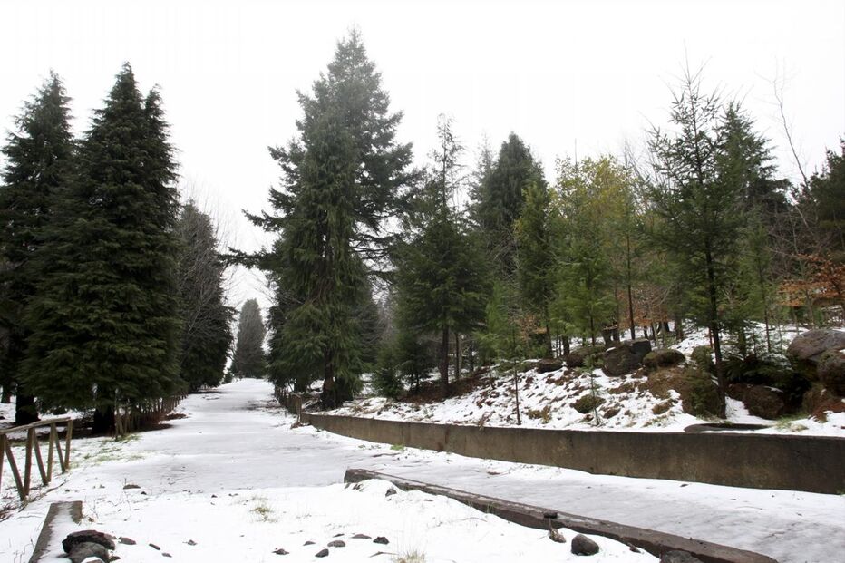 18-02-2016_17_30_28 11455542.JPG