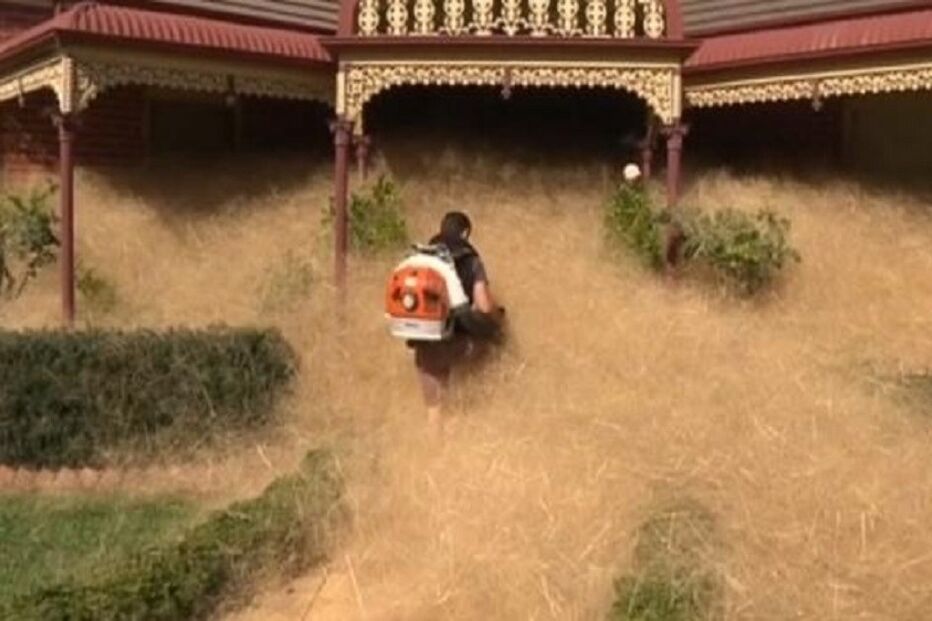 18-02-2016_20_58_29 31 ml ervas.jpg