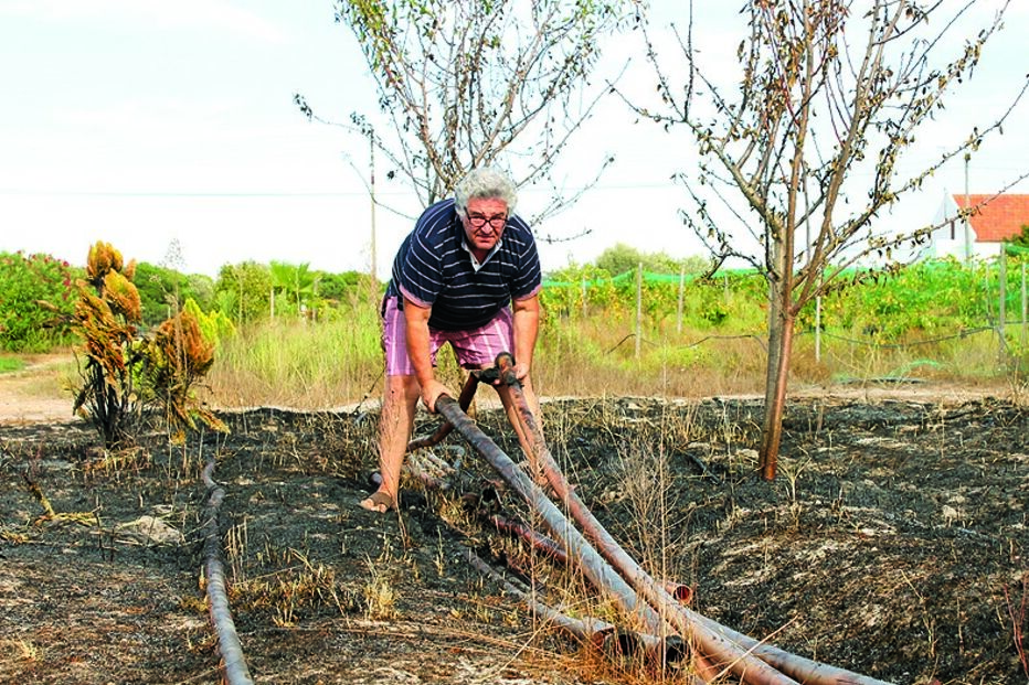 Grândola, PJ, Setúbal, crime, lei e justiça, investigação, incêndios