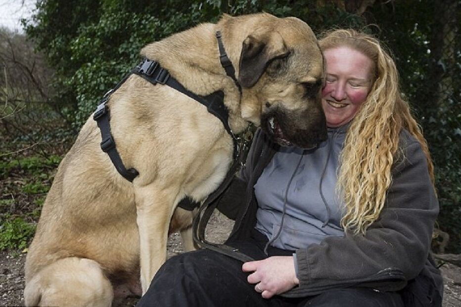 19-02-2016_23_47_37 ml cao.jpg