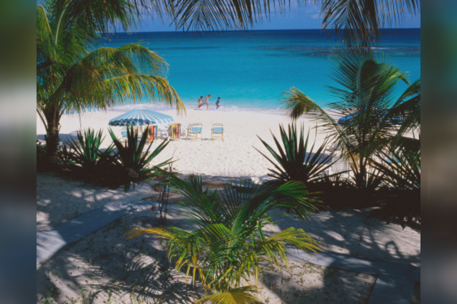 24-02-2016_13_38_01 Still0224_00002.jpg