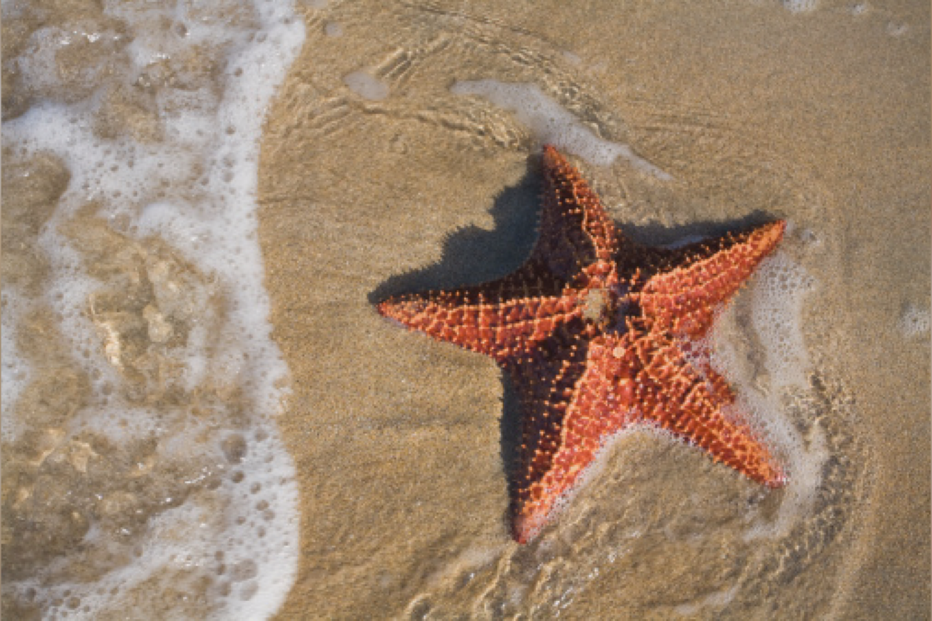 24-02-2016_13_38_25 Still0224_00005.jpg