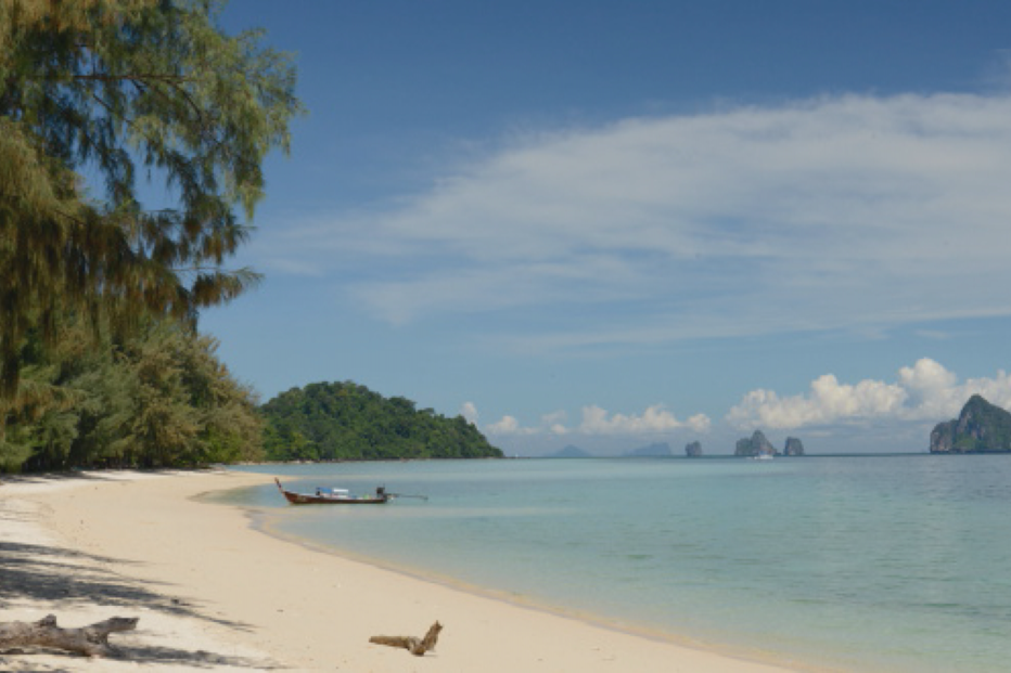 24-02-2016_13_38_40 Still0224_00008.jpg