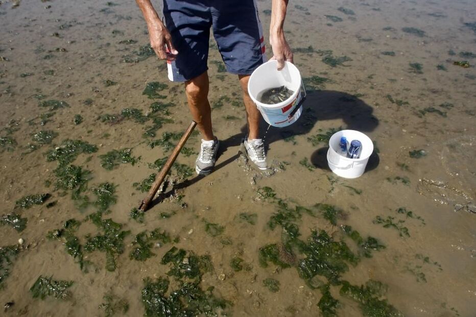 Rio Tejo, Porto de Lisboa, Tejo