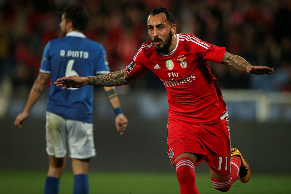 Mitroglou, Benfica