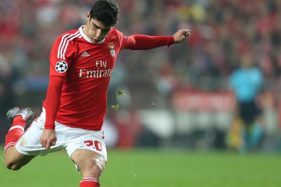 Gonçalo Guedes, Benfica, Correio Sport, Salvio, Gaitán, Liga, Rui Vitória, desporto, futebol