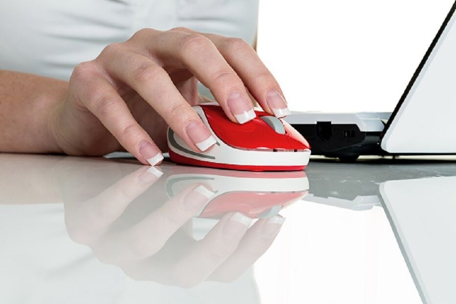 Máscara, Carnaval, Sónia Matos, Segurança Social, Évora