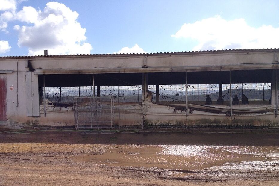 Perus, incêndio, Torres vedras