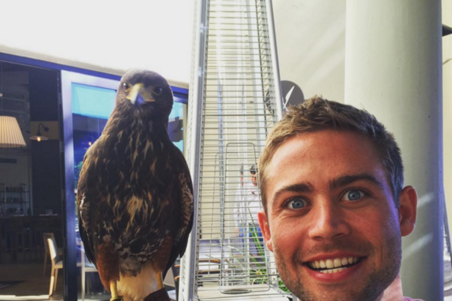 Paulo Walker, Velocidade Furiosa, Cody, Caleb