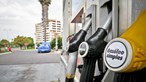 Emirados Árabes Unidos vão fornecer à Alemanha gás liquefeito e gasóleo em 2022 e 2023
