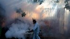 Zika: Infetados devem evitar sexo desprotegido