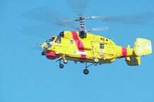 Rodrigo Lapa, desaparecido, Portimão, Algarve