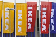 Grupo Ikea, Portugal, Braga, António Machado, Ikea Portugal, economia, negócios e finanças