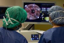 Células estaminais, crianças, cataratas, ciência e tecnologia, saúde