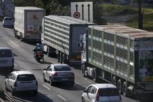 protesto, suinicultores, Lisboa