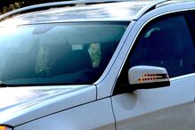 14-03-2016_15_13_01 11593390.JPG