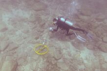 15-03-2016_14_37_16 5b.JPG