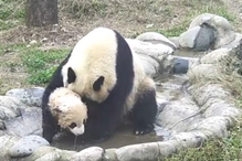 28-03-2016_19_09_37 Untitled.png