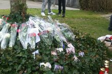 31-03-2016_11_44_32 20160330_180131_resized.jpg