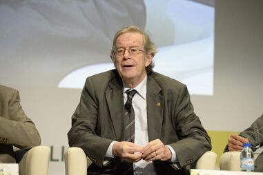 bastonário da Ordem dos Médicos, António Pereira Coelho, política, morte, eutanásia