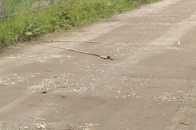 Viana do Castelo, Hospital de S. João do Porto, acidentes e desastres