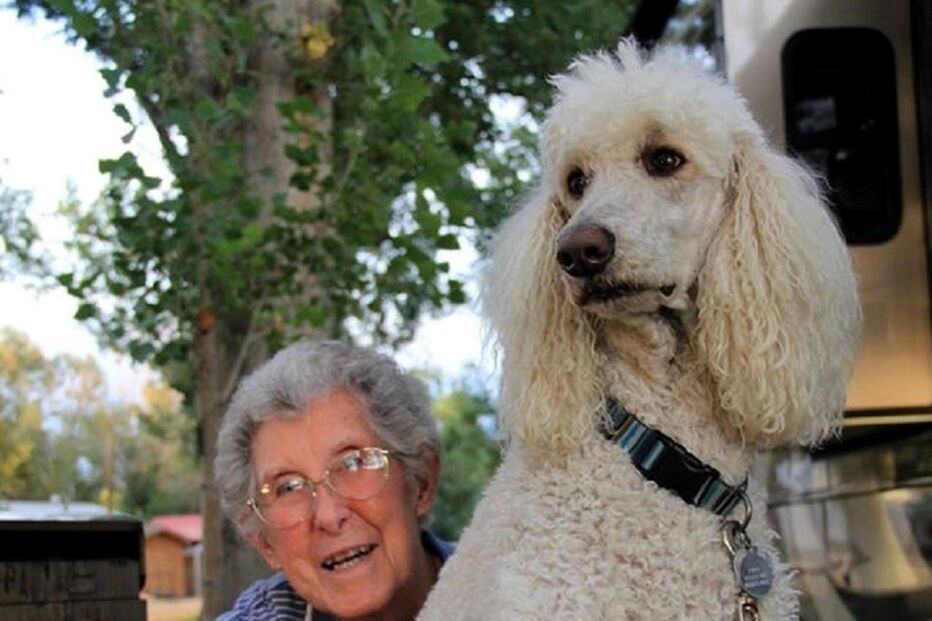 Cancro, EUA, Estados Unidos, Facebook, Driving Miss Norma