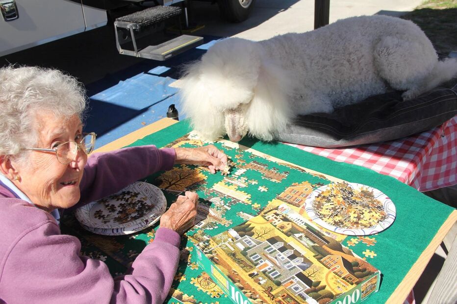 Cancro, EUA, Estados Unidos, Facebook, Driving Miss Norma