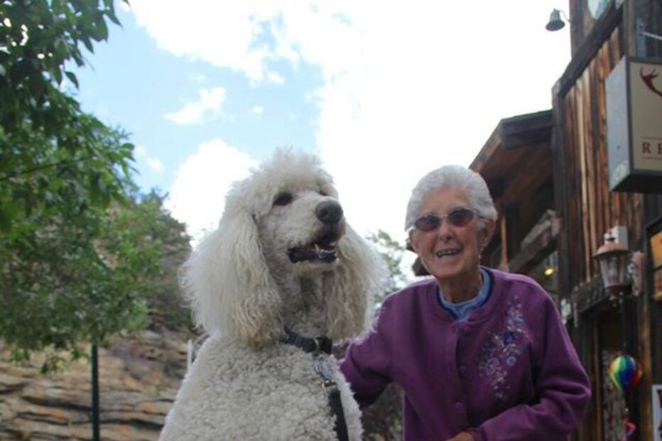 Cancro, EUA, Estados Unidos, Facebook, Driving Miss Norma