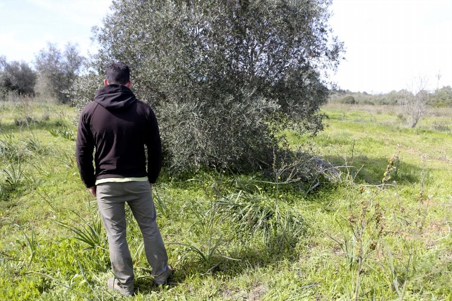  Rodrigo Lapo, jovem, Portimão, Algarve, GNR, PJ