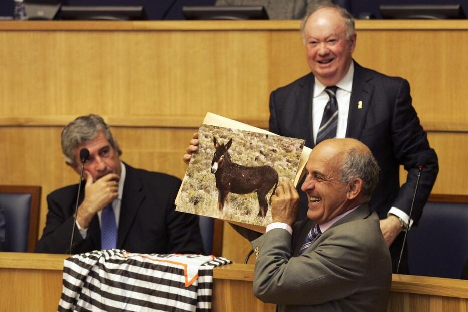 José Manuel Coelho, PTP, Assembleia da Madeira, política, parlamento