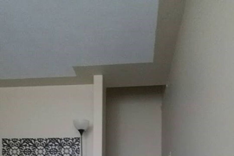 bebé, gato, fascínio, amizade, Liel Assayag, gravidez