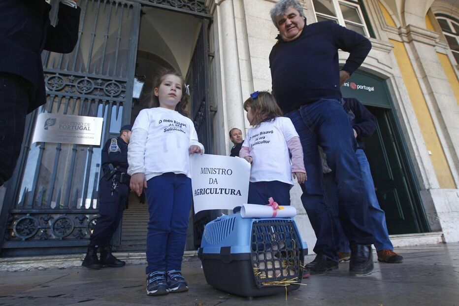 11-03-2016_16_36_44 11577520.JPG