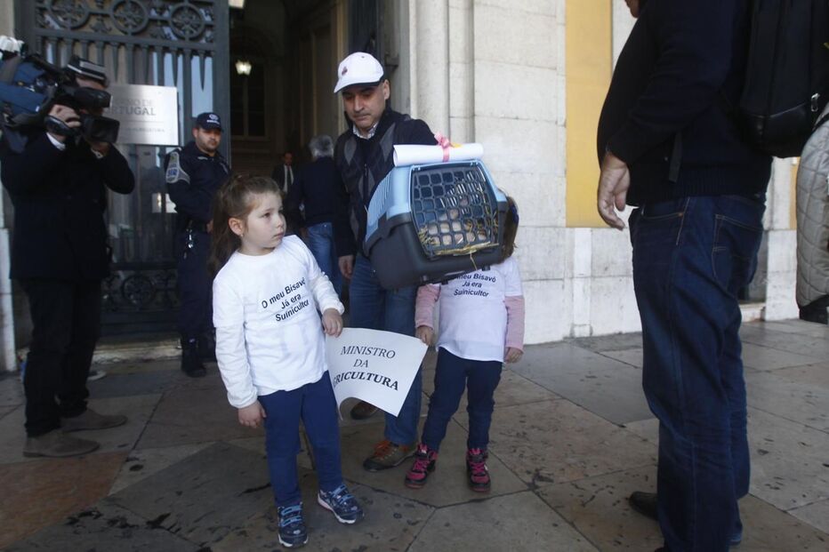 protesto, suinicultores, Lisboa