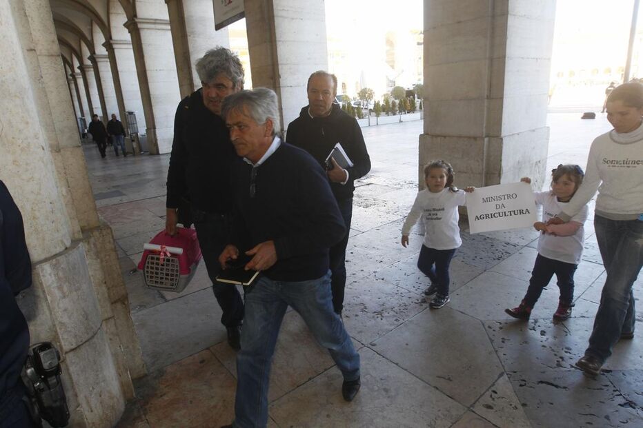 protesto, suinicultores, Lisboa
