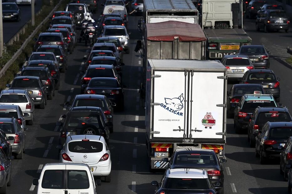 protesto, suinicultores, Lisboa