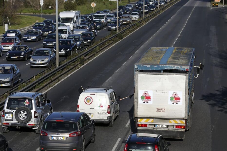 protesto, suinicultores, Lisboa
