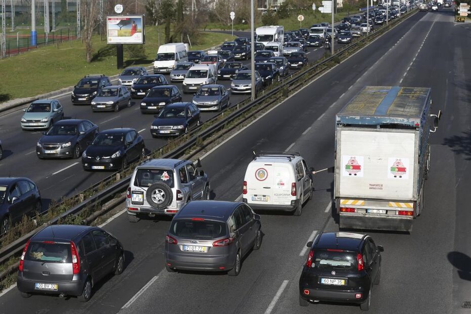 protesto, suinicultores, Lisboa