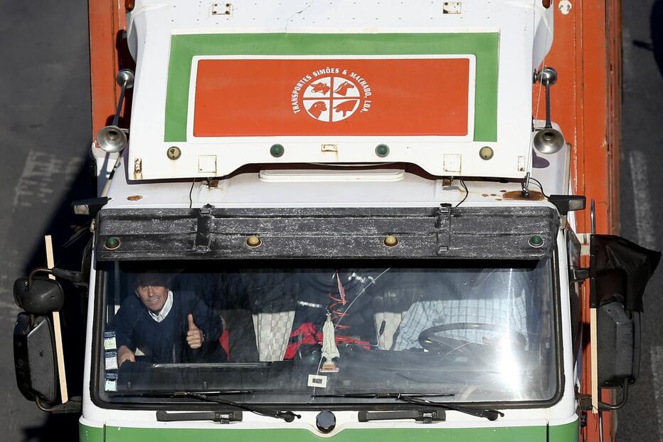 protesto, suinicultores, Lisboa